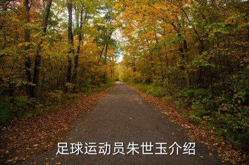 青島足球隊(duì)員名單,阿根廷足球隊(duì)員名單