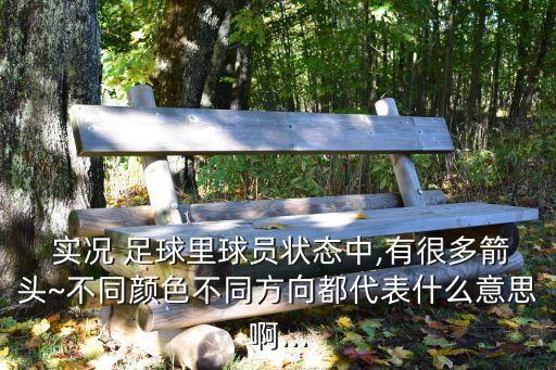  實況 足球里球員狀態(tài)中,有很多箭頭~不同顏色不同方向都代表什么意思啊...