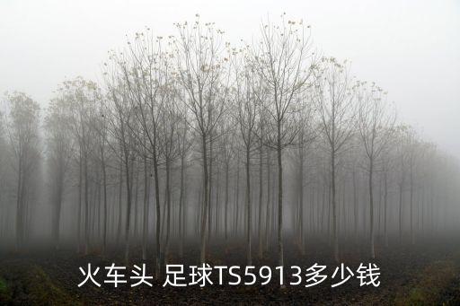火車頭 足球TS5913多少錢