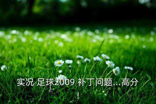 實(shí)況 足球2009 補(bǔ)丁問題…高分!