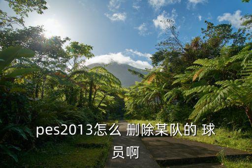 pes2013怎么 刪除某隊的 球員啊