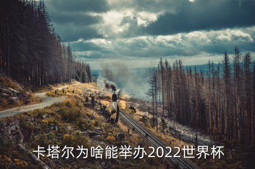 卡塔爾怎么提高足球,2022足球世界杯卡塔爾