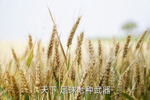 天下足球十大金左腳,足球金左腳是誰