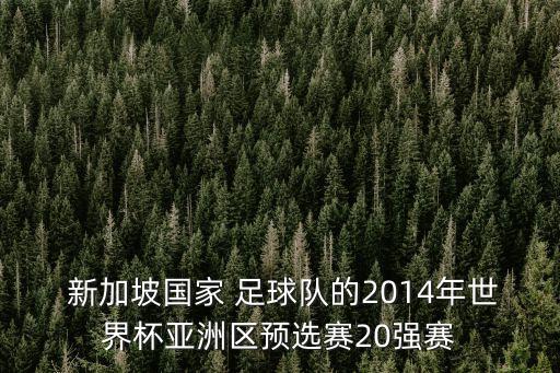  新加坡國家 足球隊的2014年世界杯亞洲區(qū)預選賽20強賽