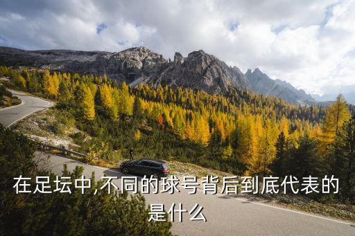 在足壇中,不同的球號(hào)背后到底代表的是什么