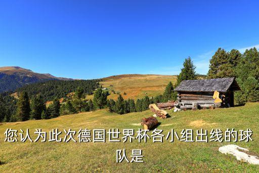 您認(rèn)為此次德國世界杯各小組出線的球隊是