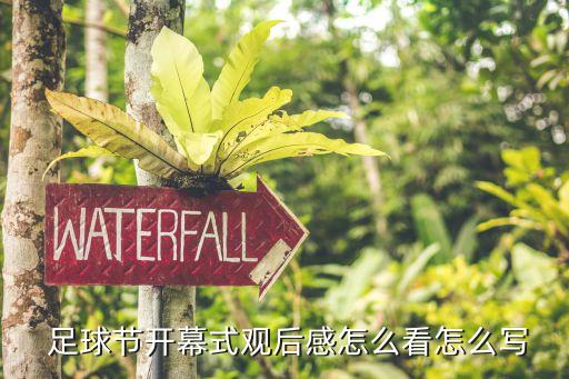  足球節(jié)開(kāi)幕式觀后感怎么看怎么寫(xiě)
