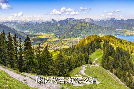 球隊改名,你怎么看
