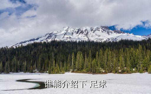 誰能介紹下 足球