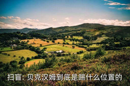 貝克漢姆在足球