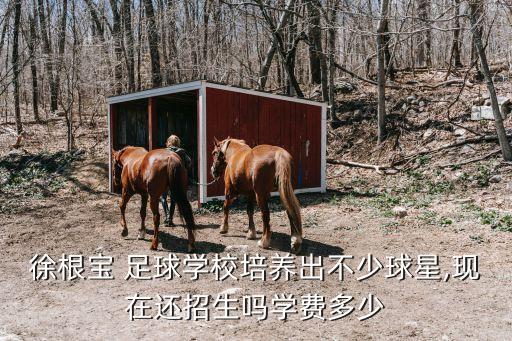 上海兒童足球俱樂部