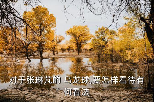對于張琳芃的 烏龍球,要怎樣看待有何看法