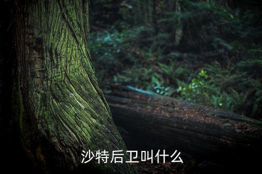  沙特后衛(wèi)叫什么