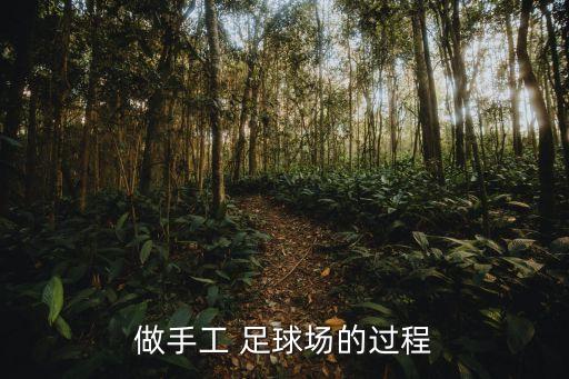 做手工 足球場的過程