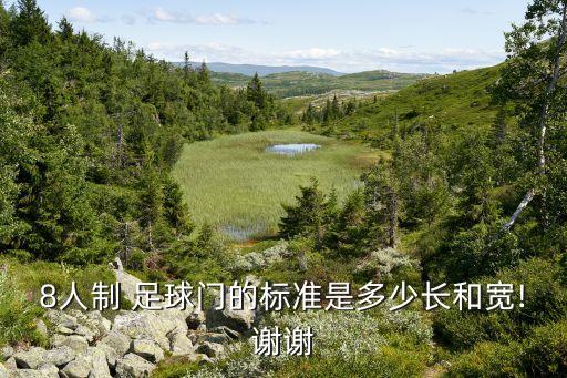 什么是八人制足球,八人制足球有沒有越位