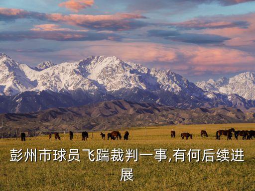 濰坊足球業(yè)余聯(lián)賽群毆