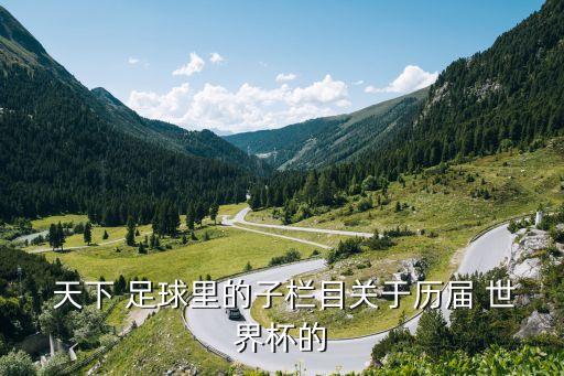  天下 足球里的子欄目關(guān)于歷屆 世界杯的