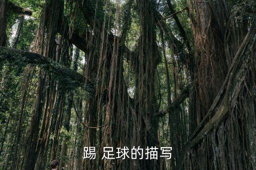 勝利足球意大利,德國足球為什么怕意大利