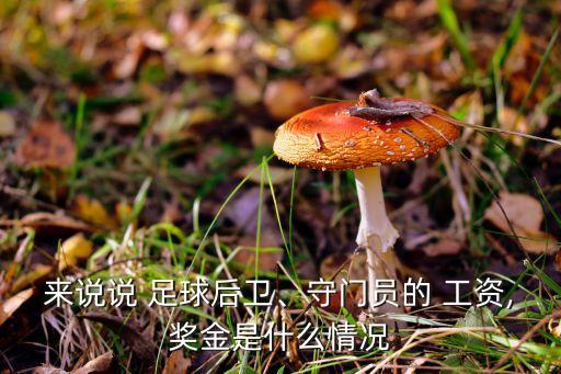 來說說 足球后衛(wèi)、守門員的 工資,獎金是什么情況