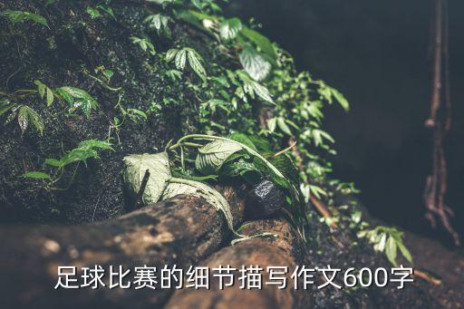  足球比賽的細(xì)節(jié)描寫作文600字