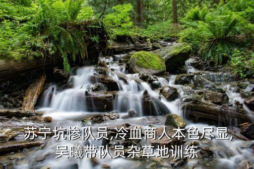 江蘇蘇寧足球俱樂部教練,蘇寧米蘭足球俱樂部