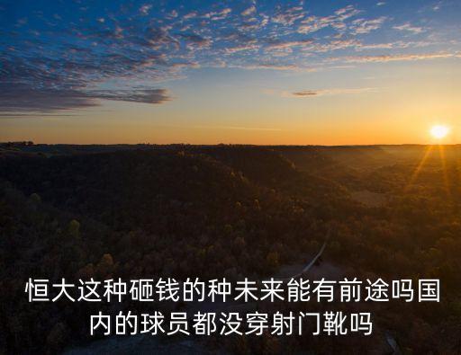 恒大花錢(qián) 中國(guó)足球不行