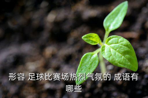 跟足球有關(guān)的成語