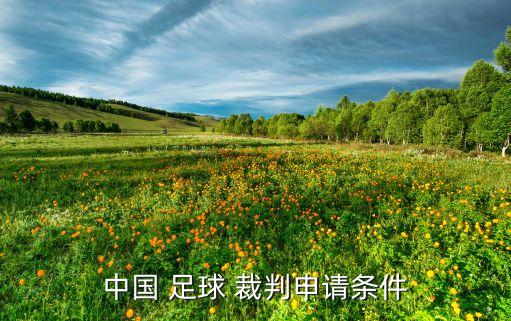 中國 足球 裁判申請條件