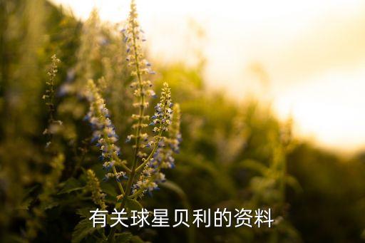 有關(guān)球星貝利的資料