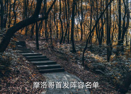  摩洛哥首發(fā)陣容名單