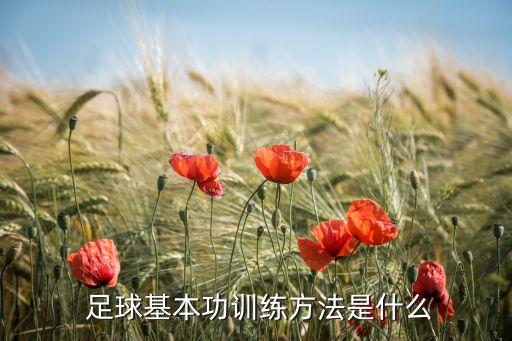  足球基本功訓(xùn)練方法是什么