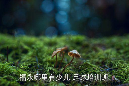 深圳足球班招生簡章2015年