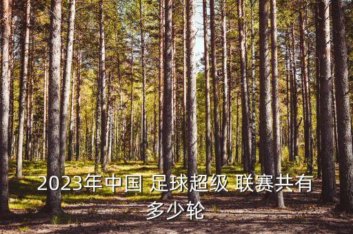 深圳市足球聯(lián)賽,足球聯(lián)賽哪個水平最高