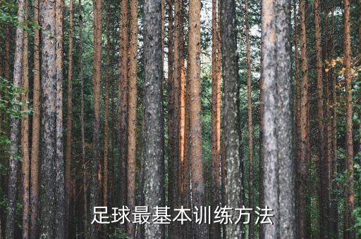  足球最基本訓(xùn)練方法