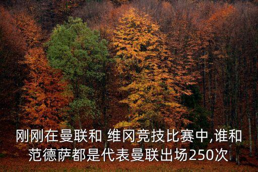 剛剛在曼聯(lián)和 維岡競(jìng)技比賽中,誰和范德薩都是代表曼聯(lián)出場(chǎng)250次