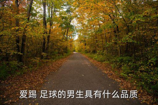 愛(ài)踢 足球的男生具有什么品質(zhì)
