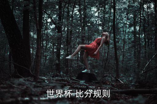 世界杯 比分規(guī)則