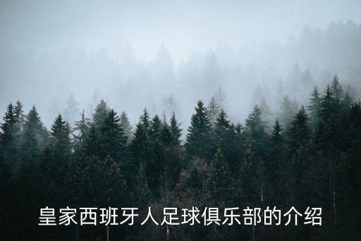 中國老板購買(mǎi)的歐洲足球隊