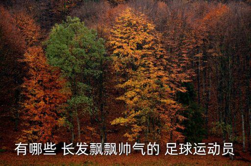 有哪些 長發(fā)飄飄帥氣的 足球運(yùn)動員