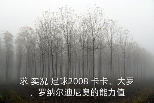 求 實(shí)況 足球2008 卡卡、大羅、羅納爾迪尼奧的能力值