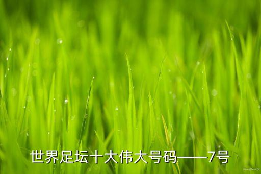 世界足壇十大偉大號碼——7號