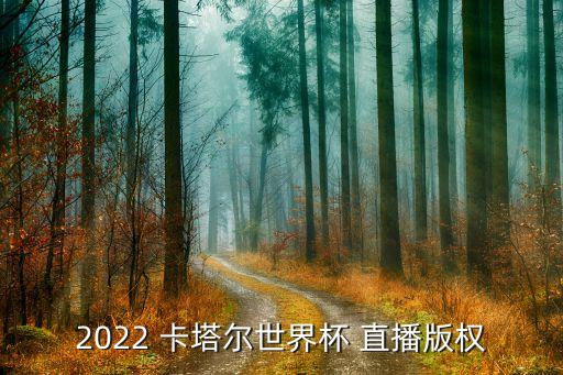2022 卡塔爾世界杯 直播版權(quán)
