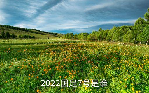 足球場上的那些7號