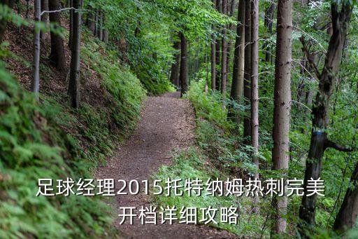  足球經(jīng)理2015托特納姆熱刺完美開(kāi)檔詳細(xì)攻略