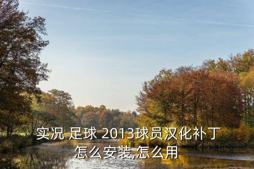 實(shí)況足球2013怎么設(shè)置中文解說(shuō)