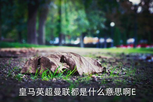皇馬足球隊(duì)人數(shù),皇馬是哪個(gè)國(guó)家的足球隊(duì)