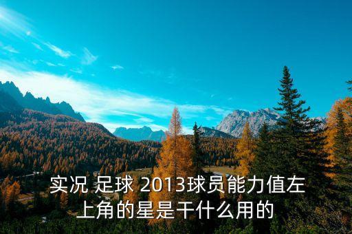  實況 足球 2013球員能力值左上角的星是干什么用的