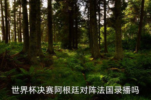 世界杯決賽阿根廷對陣法國錄播嗎