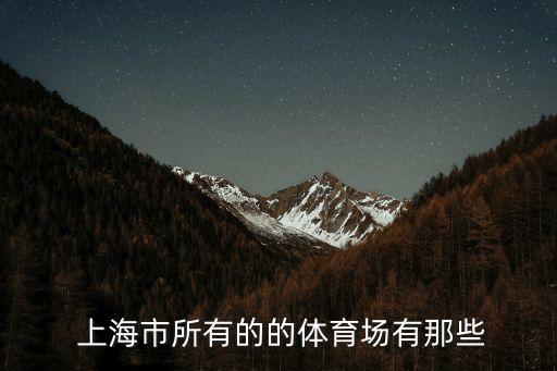  上海市所有的的體育場有那些