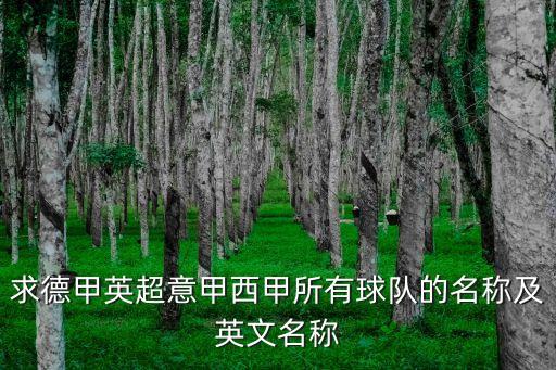 熱那亞足球